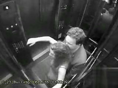 Public doggystyle fucking on elevator security camera