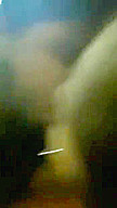 Punjabi Chubby Pussy Fucking Video