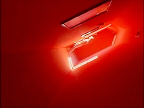RED HOT DP