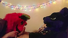 Raw Furry Frotting
