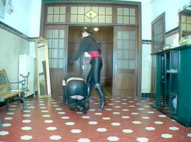 Rubbermaid Lisa