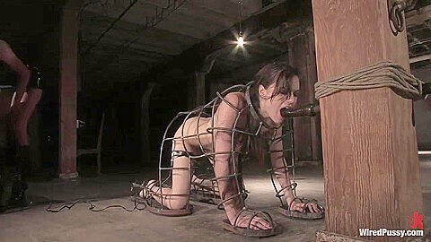 Sasha Grey Dominated By Princess Donna