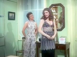 Secrets of a Door-to-Door Salesman 1973 