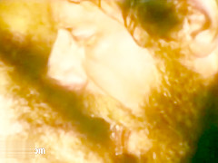 Seductive old porn from 1970 is here