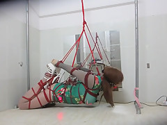 Self Tied