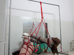 Self Tied