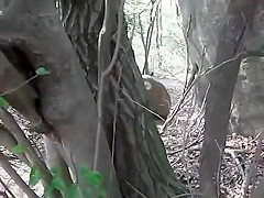 Sex play in the woods