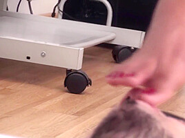 She puts her slave lick her feet at work by Foot Girls