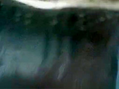 Shows Beach, , Video Unique