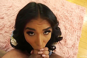 Skinny Big-dicked Shemale Sodomy Scene