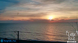 Slut Sucked Strangers Big Dick At Sunset By The Sea And Swallowed Cum - Treason On Outdoor - Lana Red