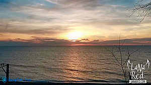 Slut Sucked Strangers Big Dick At Sunset By The Sea And Swallowed Cum - Treason On Outdoor - Lana Red