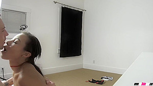 - Stamina Trainer