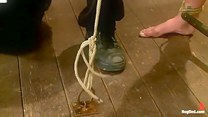 Stappado'd, elbows together, legs spread, nipples clamped & weighted, flogged, made to cum & suffer!