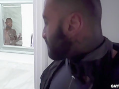 Stuck Burglar Gets Blacked By Poundhisass With Rikk York And Aaron Trainer