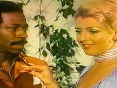 Swedish Erotica Vol 2-10 Funny Promo Vid