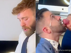 Teddy Bear - Office Bear Blowjob Nicksluckycharms