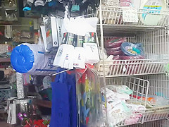 The store  