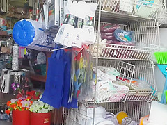 The store  