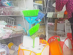 The store  