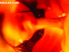 Ts miya sucking bbc