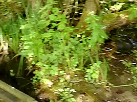 Upskirt in the country park one
