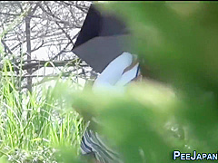 Weird Japanese Pee Park