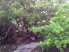 Wife dogging for Black Cock at Beach