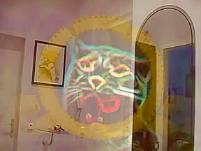 Wild katzen 6