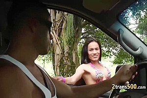 With Tranny - Hardcore Gangbang And Big T