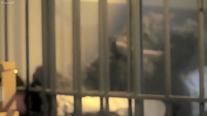 Wolfcop (2014) Sarah Lind, Cheryl Mazil
