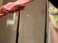 bbw molli versteckte bad cam
