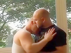 bear hug hotel