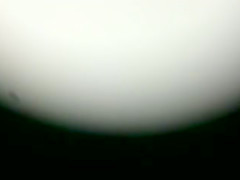boso ni pukemon # 1