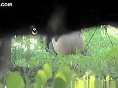 catches two teens 18+ pissing in the bushes