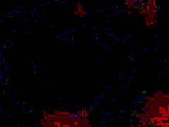 cock flash again double look