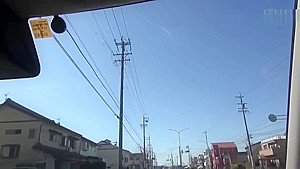 furin,