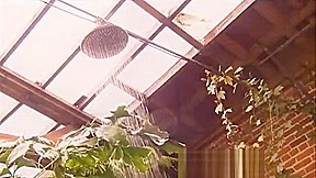 gorgeous wife fucked in the garden