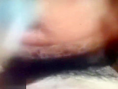 gracefully hot fucking from 1971