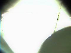 japanese girl toilet 001