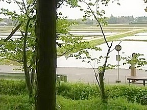 japanese pussy outdoor fuck