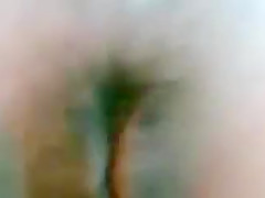 khulna habib tani