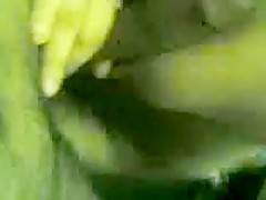 khulna habib tani