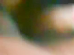 khulna habib tani