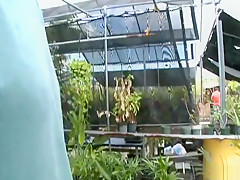 oip - fucking in garden