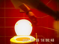 pretty brunette long hair taped private toilets pussy sazz