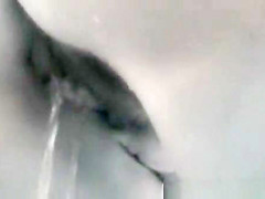 public toilet