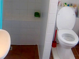 shower spy