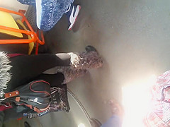 spy sexy hot brunette ass in bus romanian