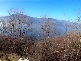 teenager 18+ con corpo perfetto scopa sulla panchina in pubblico - LustTaste